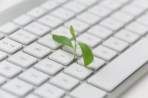 Keyboard With Small Plant